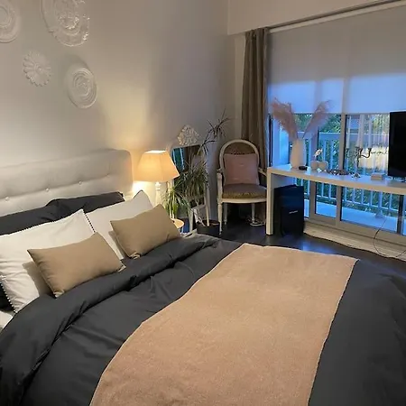 Charming Parisian One Bedroom Apartmán Paříž